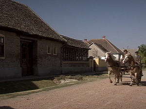  1001 Траг - Мила - Мики Јевремовић 