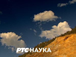 Еко-арт:	 Дрво