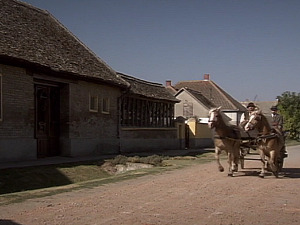  1001 Траг - Небо је тако ведро - Мики Јевремовић 