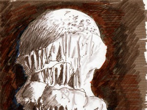 Камена суза