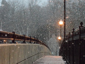 Ноћне променаде 