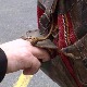 Џепароша све више, али новчаници више нису главна мета – променили су и локацију