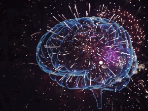 У потрази за натчовеком:  Развијање мозга