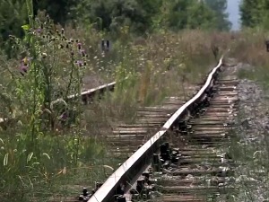 Због чега у топличком крају две године не саобраћају путнички возови
