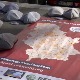 Представници "Крени-промени" испред РТС-а указали на проблем загађења ваздуха