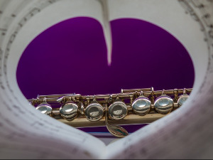 Свирај свирче - Флаута 