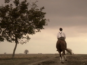  1001 Траг - Растанка се нашег сећам - Мирослав Илић 