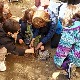 Завршена Велика недеља пројекта "Засади дрво" – шумовитост Србије 41 одсто