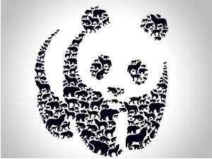 Очување дивљих врста кључно за све нас