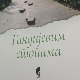 Гандијевим стопама