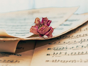 	Променада - Хит парада 1978. 