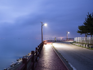 Ноћне променаде