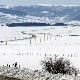 Март на Пештери – залихе огрева и сточне хране при крају, а зима не посустаје
