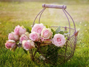  1001 Траг - Кад би ове руже мале - Душица Билкић 