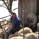 Зашто се Ђорђе Матовић вратио на дедовину подно Златара