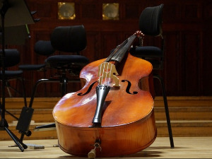 Свирај свирче - Контрабас 