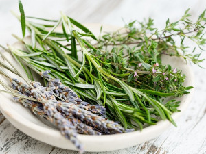  1001 Траг - Рузмарине мој зелени - Драгољуб Лазаревић 