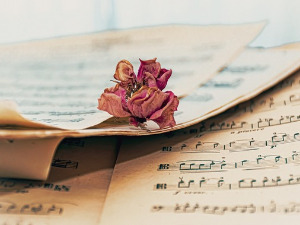 Променада - Вогошћа 1987. 