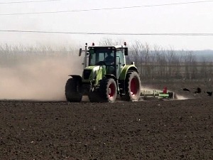 Пољпоривредници из Црепаје надају се добром роду шећерне репе