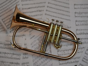 Свирај свирче - Труба