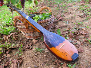 Свирај свирче  - Тамбура 