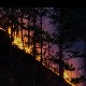 Пожар код Краљева се проширио, мештани без струје и телефонског сигнала