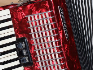 Век хармонике – Владимир Трмчић