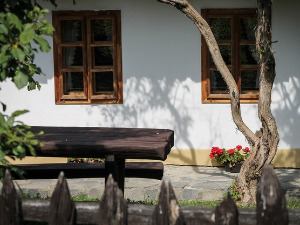  1001 Траг - Запевала сојка птица - Василија Радојчић 