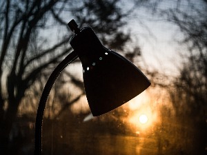 Ритам раног јутра