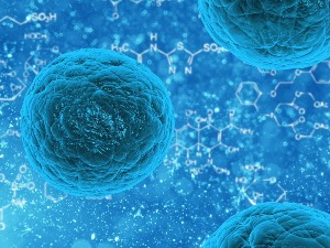 У океанима откривено више од 5.500 нових врста вируса