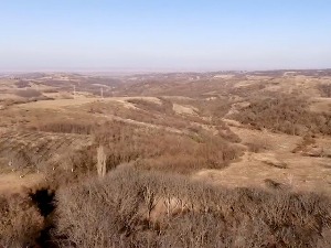 Букове шуме у Војводини за сада не могу на листу Унескове светске баштине