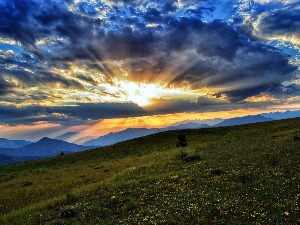 Ритам раног јутра