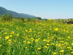 Да ли се може побећи од завичаја?