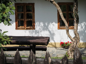  1001 Траг - Да сам птица - Силвана Арменулић 