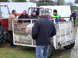 Расту цене на сточним пијацама, ценкања све више