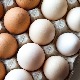 Јаја јефтинија у продавницама него на пијацама