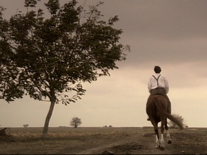  1001 Траг - Ниси знао да ме чуваш - Гордана Стојићевић 