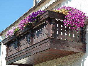 Право је време да посадите петуније и улепшате терасу или башту