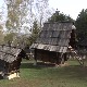 Златиборе мој зелени боре