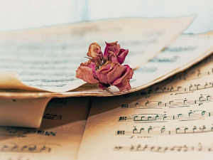 	Променада - Хит парада 1978.