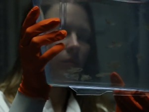 Наши научници развијају стратегију како да подстакну ћелије срца да се обнове после инфаркта