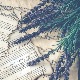Познати песници који су писали музику
