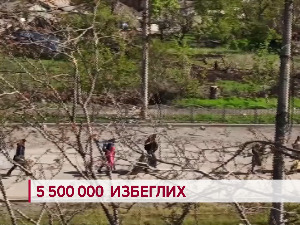 5 500 000 избеглих