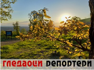 Гледаоци репортери (9. мај 2022)