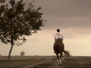  1001 Траг - Ја не могу мила мајко без њега - Гордана Стојићевић 