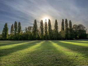  1001 Траг - Мој јаблане - Душица Билкић 