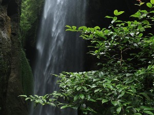 Небеске јаме – откривена вртача са сопственом шумом  у Кини