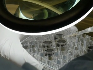 Шта све може да никне из Месечевог тла