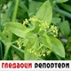 Гледаоци репортери (14. мај 2022)