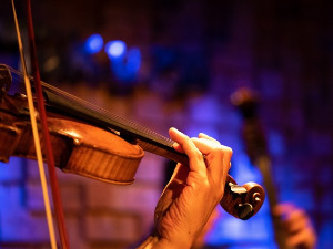 Свирај свирче - Виолина